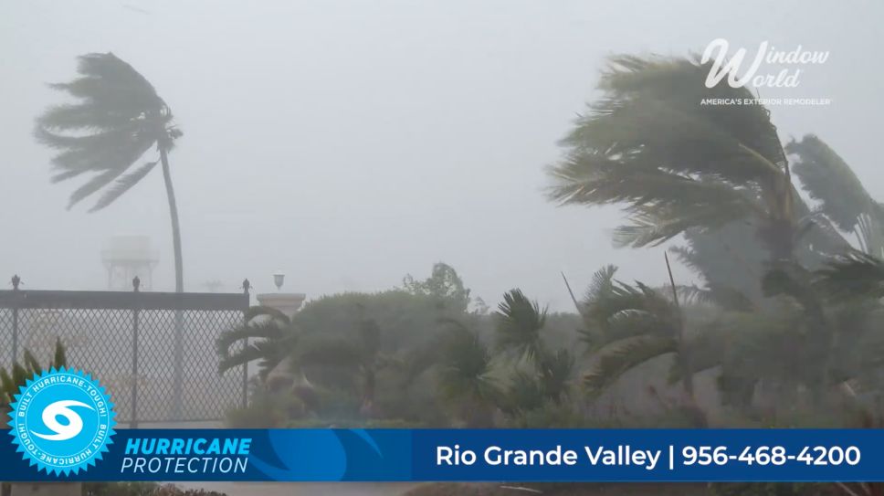 Palm trees bending in heavy storm winds with Window World RGV hurricane protection branding.